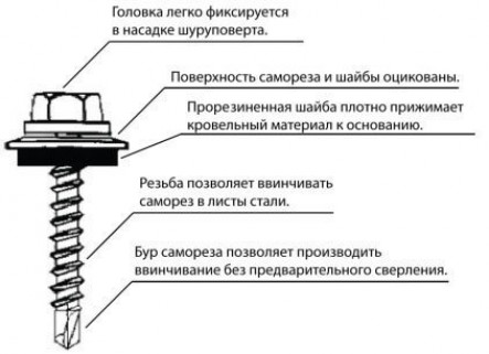 Что представляют собой кровельные саморезы