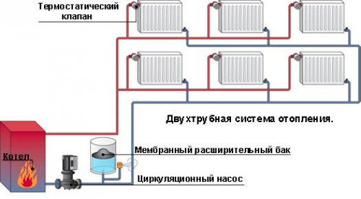 Рекомендации специалистов