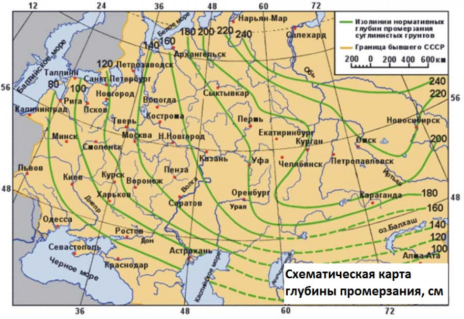 Виды и особенности