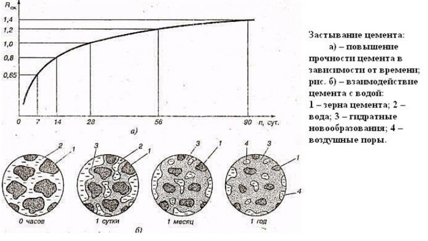 Принцип отвердевания бетонного раствора