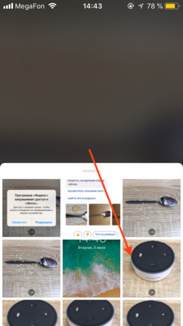 Как включить поиск по картинкам в Алисе