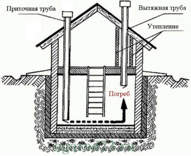 Вентиляция погреба