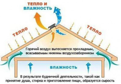 Конструкция вентиляционного дефлектора