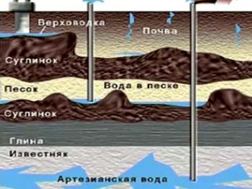 Как определить вид почвы