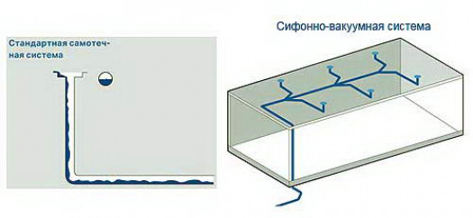 Разновидности