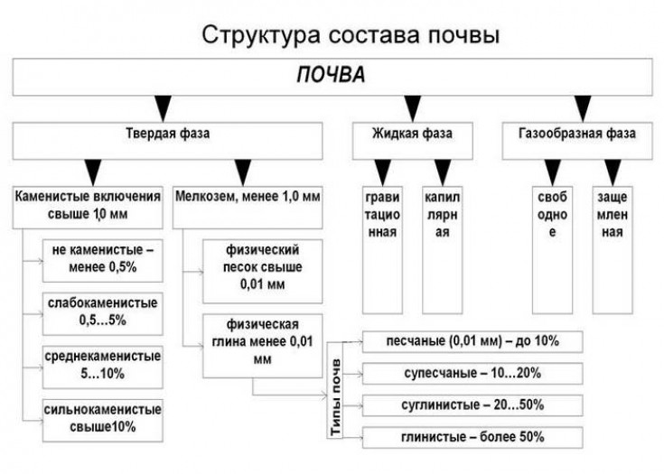 Виды фундамента для домов из бруса