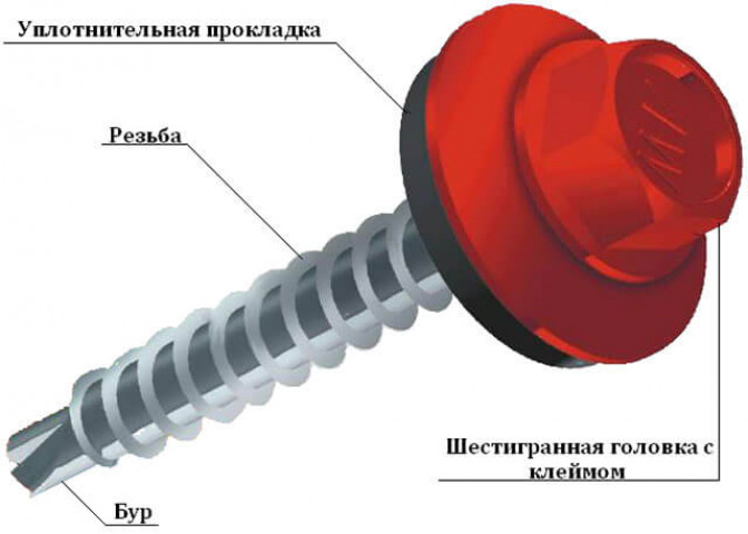 Дополнительные сведения