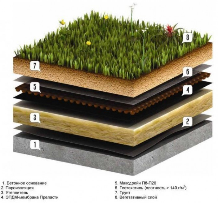 Зеленая зона на плоской кровле