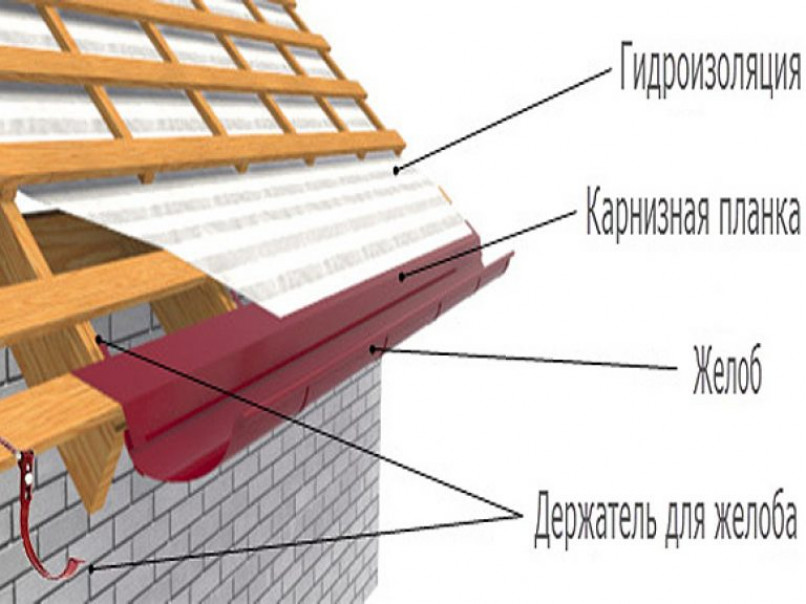 Какие виды бывают?