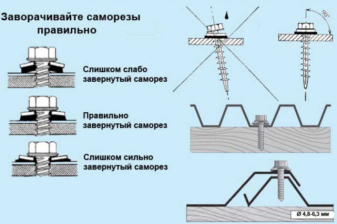 Классификация саморезов