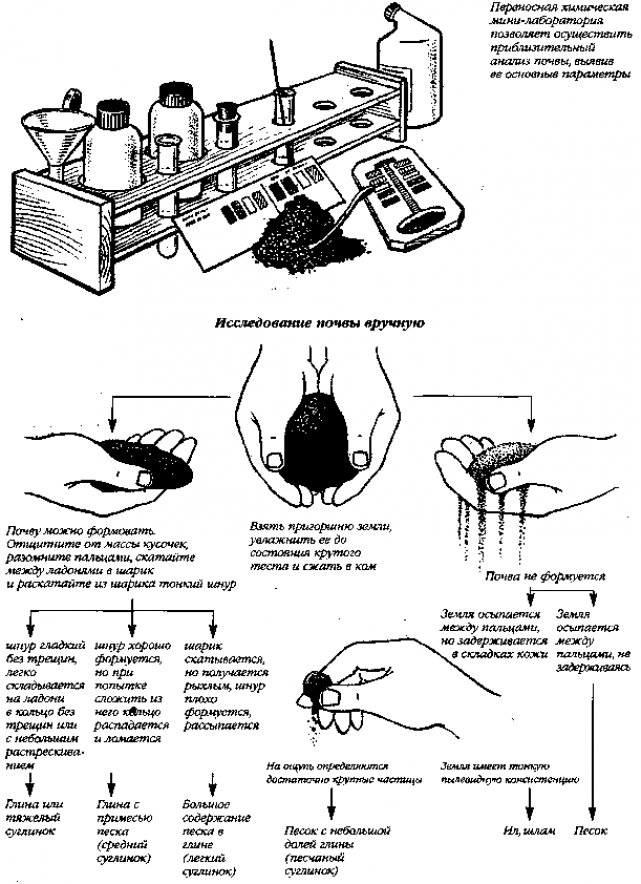 Как самостоятельно определить вид грунта