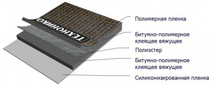 Отличия от других видов