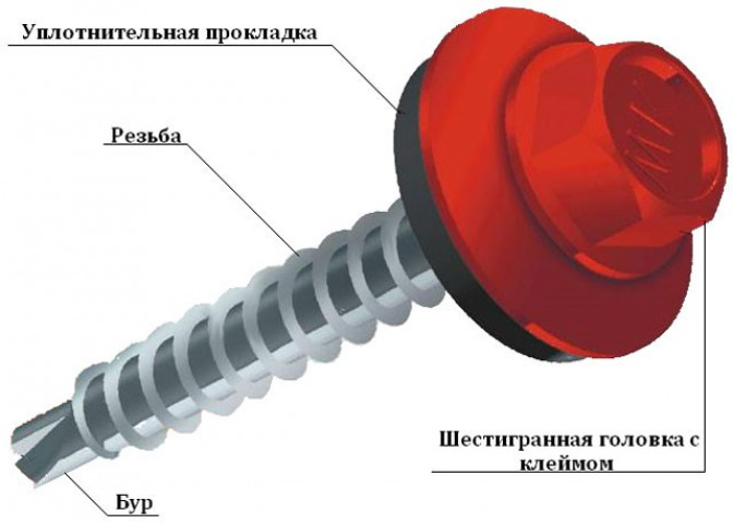 Проблемы выбора